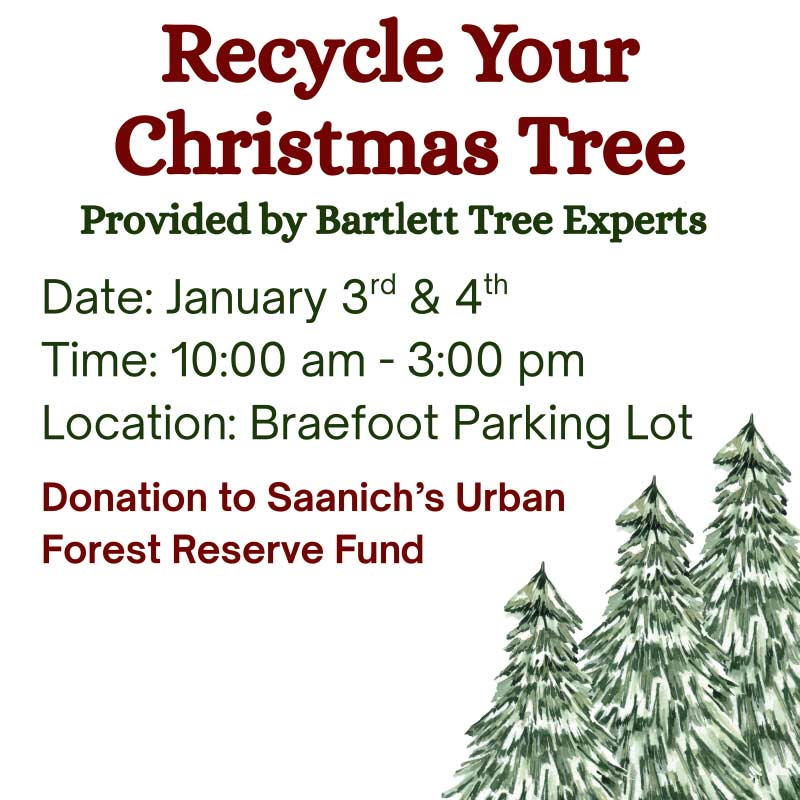 Recycle your Christmas Trees!